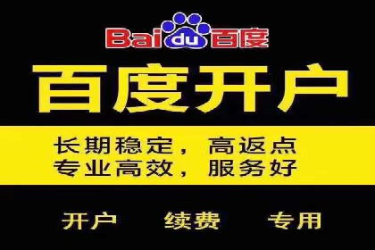 百度推广与SEO结合的营销策略案例分享
